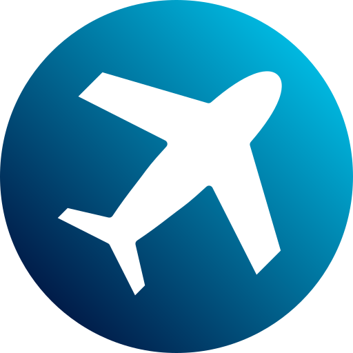 plane icon